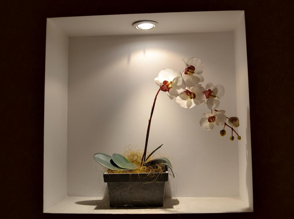 Hostal Quevedo 레온 외부 사진